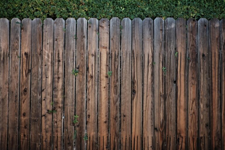 A rustic wooden fence overgrown with green foliage on a sunny day.
