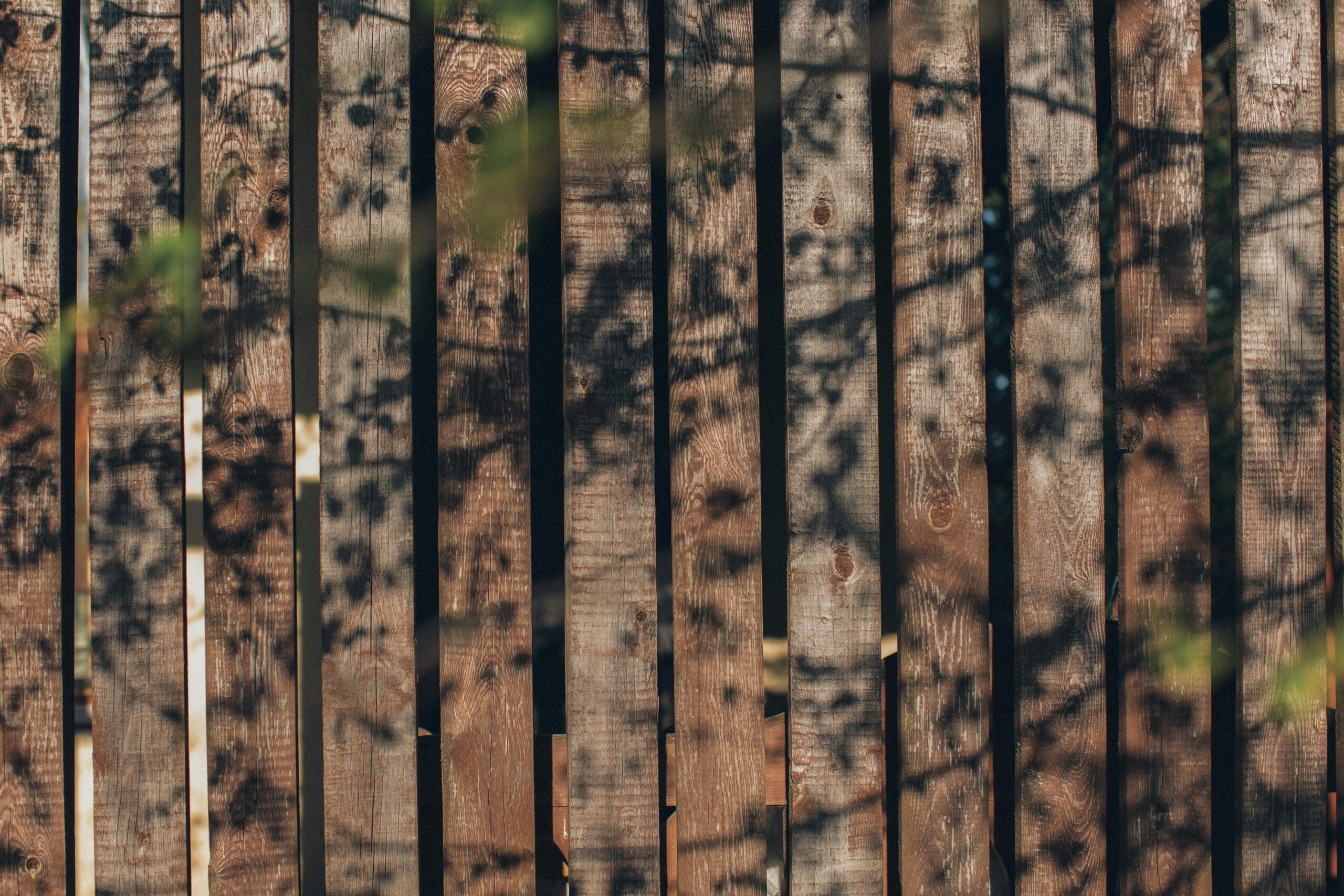 Wooden fence panels with leaf shadows creating a natural, rustic texture.